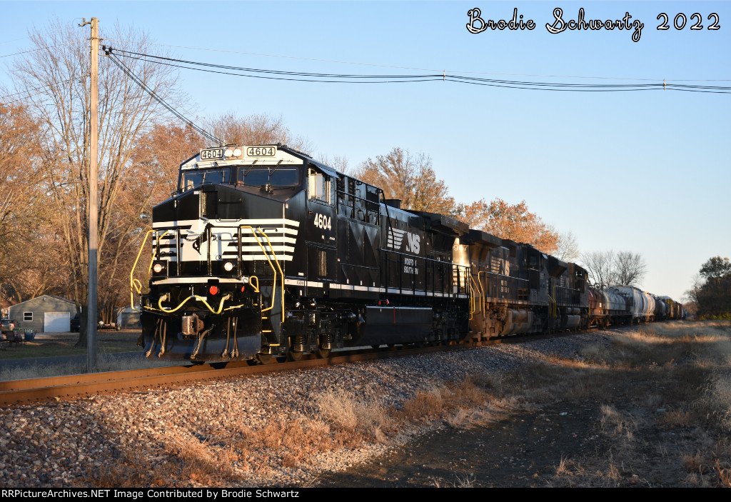 NS 4604